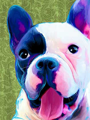 boston terrier art
