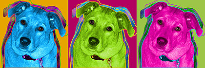 dog art