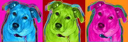 custom dog art
