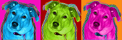 dog painting