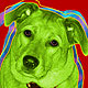 dog art