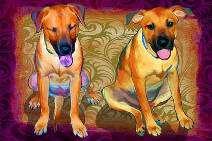dog painting