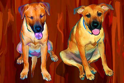 pet art