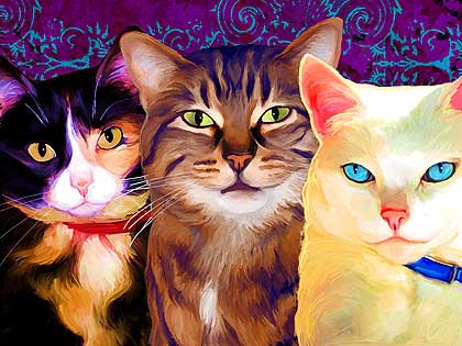 cat portrait