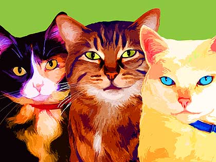 cat art