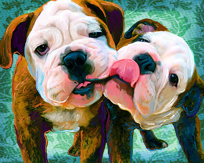 bulldog portrait