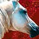 horse portrait