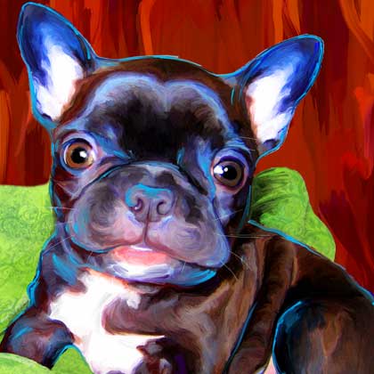 frenchie art portrait