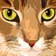 tabby portrait