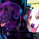 2 pups portrait