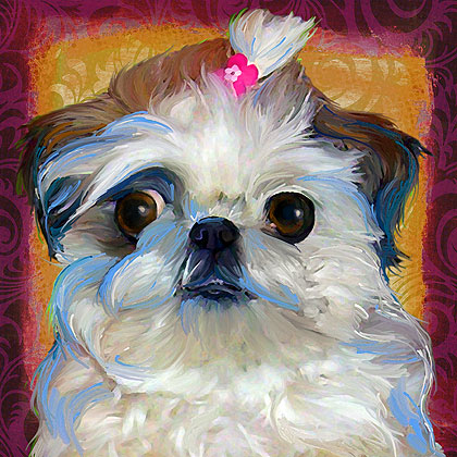 shih tzu painting