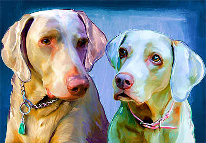 weimaraner art