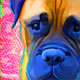 bull mastiff art