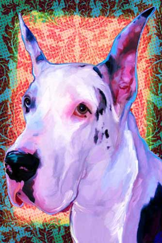 great dane portrait
