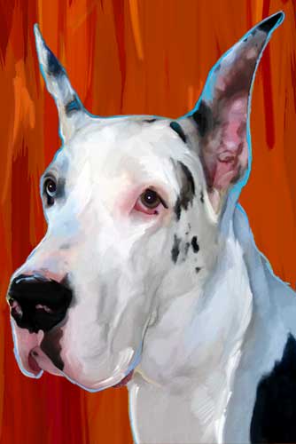 great dane dog