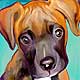 pet portrait
