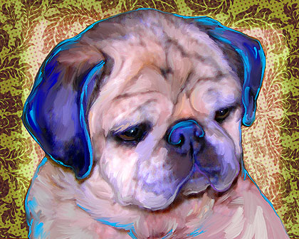 pug portrait