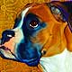 boxer art