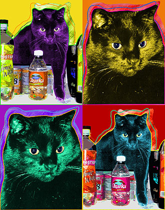 cat art