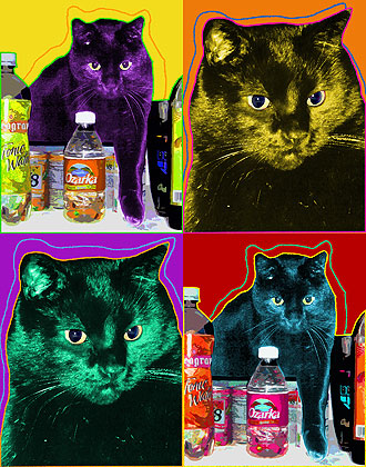 warhol cat