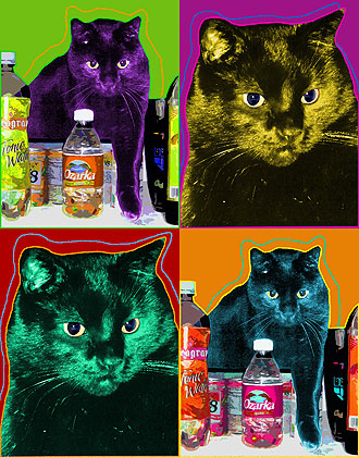 cat painting