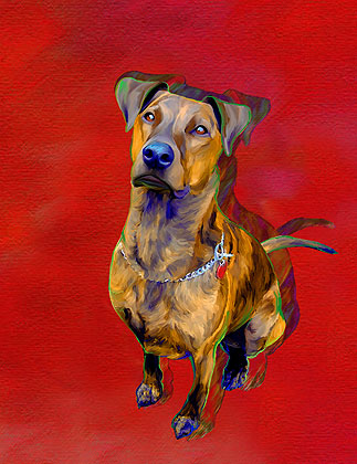 dog art