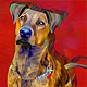dog portrait