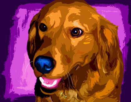 golden retriever art
