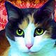 kitty Portrait