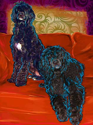 portuguese water dog art