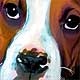 boxer portrait