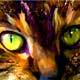 cat pet portrait