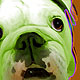 bulldog art
