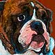bulldog portrait