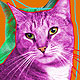 cat portraits