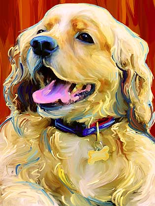 cocker spaniel