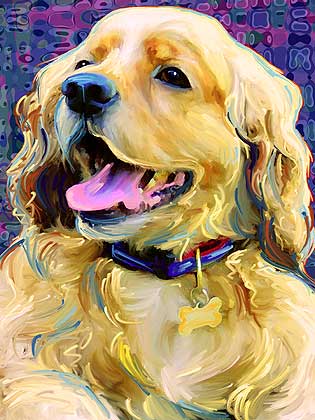 cocker spaniel