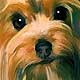 yorkie art portraits
