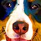 pet portrait