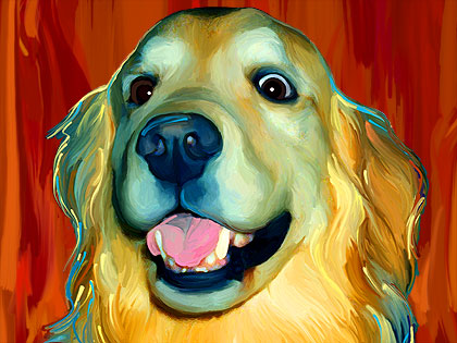 golden retriever portrait