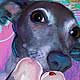 greyhound portrait