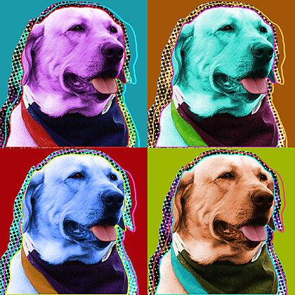 labrador retriever art