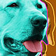 yellow lab art