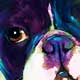 frenchie art work