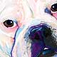 bulldog art painting