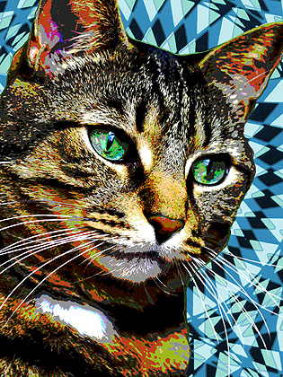 cat pop art