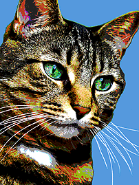 cat pop art