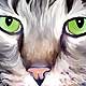 cat pet portrait