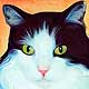 cat portrait