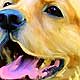 custom pet portrait